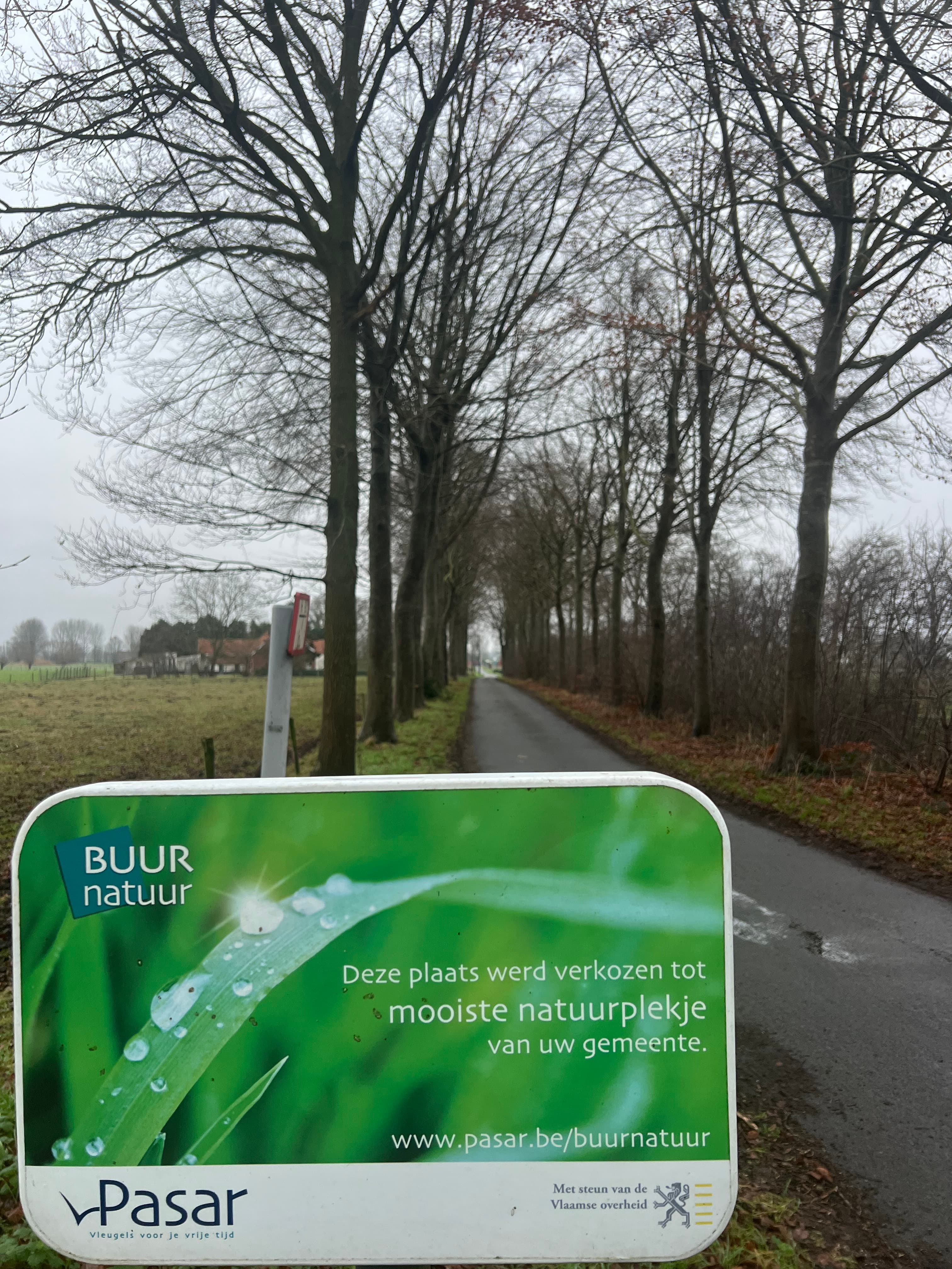 Kampveld in de winter, december 2024